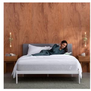 Tuft & Needle - Queen Mattress
